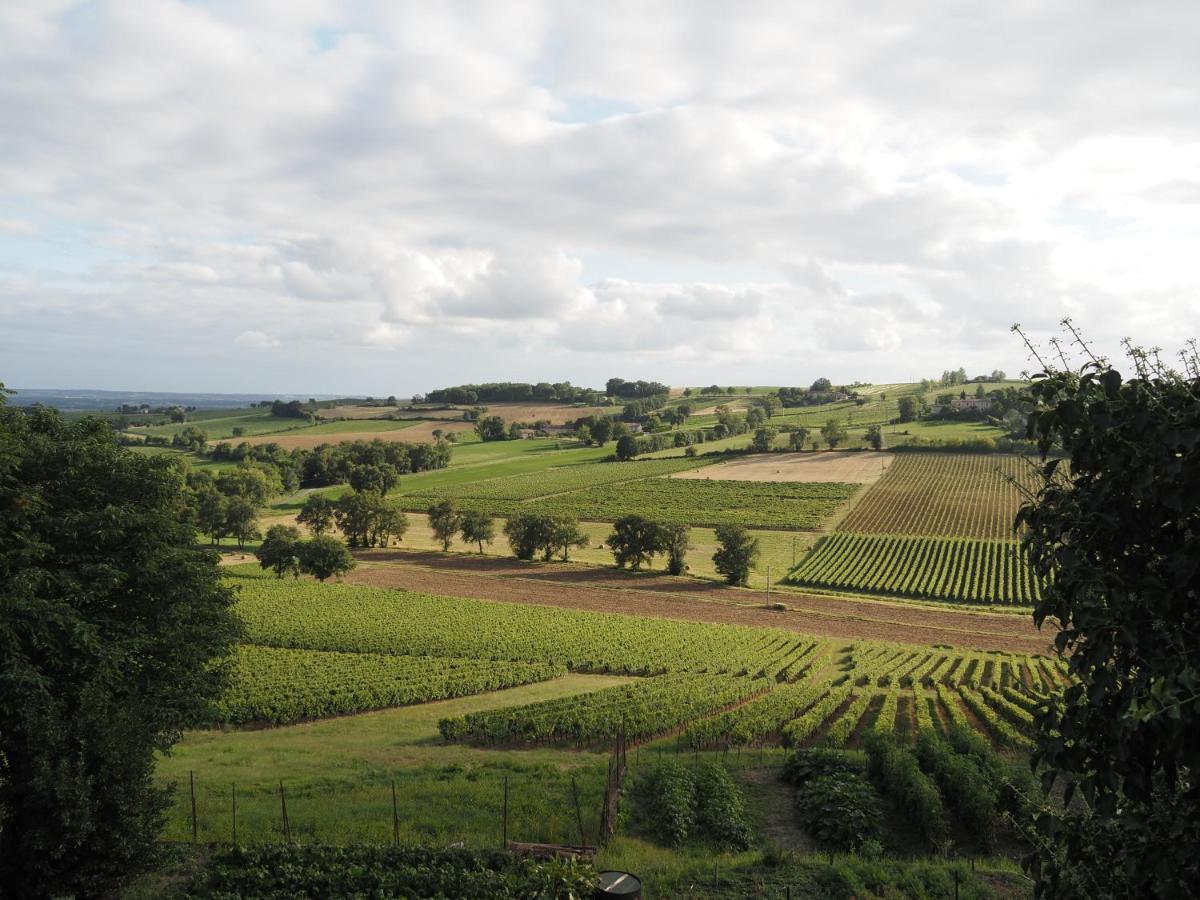 Le Mas De Doat, Gite De Charme 4 Etoiles Dans Le Triangle D Or Proche Gaillac Et Albi Senouillac Exteriör bild